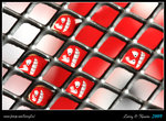 IMG_2476b