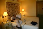 V-IMG_4536