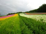 IMG_5152A