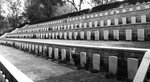 IMG_8226BNW...In addition, the local Volunteers Corps made up of European and Chinese citizens fought gallantly alongside the Commonwealth forces.  They were simply citizen soldiers.