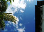 IMG_2071A
