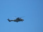 IMG_2281A