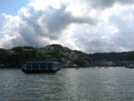 IMG_3316A