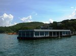 IMG_3320A