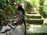 IMG_4467A