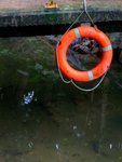 IMG_5185A