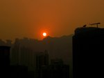 IMG_5401A