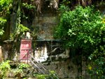 IMG_4905A