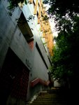IMG_4927A