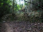 IMG_6333A