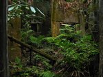 IMG_6340A