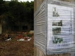 IMG_6342A