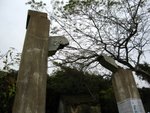 IMG_6343A