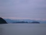 IMG_6346A