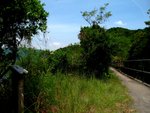 IMG_0035A