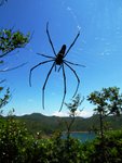 IMG_0243A