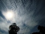 IMG_0861A