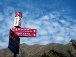 IMG_0868A