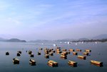 IMG_6629A