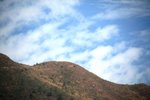 IMG_6677A