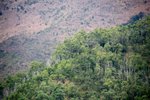 IMG_6716A