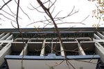 IMG_8516A