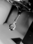IMG_2218A
