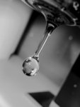 IMG_2230A