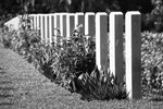 IMG_2918A_BW