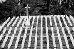 IMG_2924A_BW