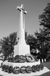 IMG_2931A_BW