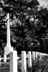 IMG_2943A_BW