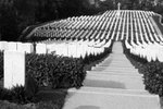 IMG_2957A_BW