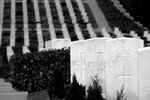 IMG_2974A_BW