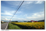 200608Hokkaido-15 640