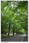 200608Hokkaido-25 640