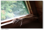 200608Hokkaido-28 640