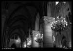 IMG_1733 framed 640