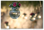 The Hanging Gardens