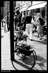 IMG_1538a copy640