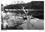 IMG_1677a copy640