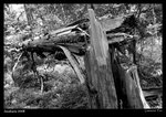IMG_1739 copy640