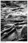 IMG_1741 copy640