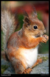 IMG_1858 copy640