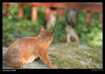 IMG_1860 copy640