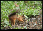 IMG_1867 copy640
