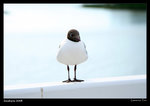 IMG_1895 copy640