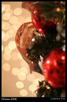 20061228xmas-04