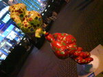 DSC00010