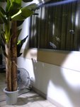 DSC00192